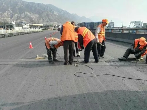 洞头道路桥梁病害治理